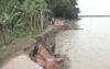 বরিশালে ৯১টি নদীর ১২৩ পয়েন্টে তীব্র নদী ভাঙন