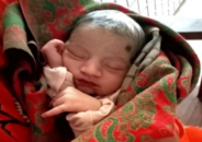 গমক্ষেত থেকে জীবিত নবজাতক উদ্ধার