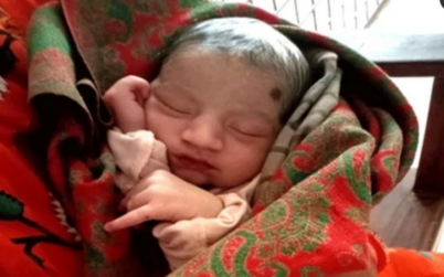 গমক্ষেত থেকে জীবিত নবজাতক উদ্ধার