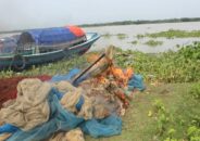 পিরোজপুরে অবৈধ জাল পুড়িয়ে ধ্বংস