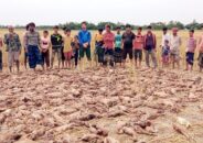 শত্রুতা করে পানিতে বিষ, মারা গেলো খামারির ৯৮৩ হাঁস