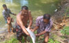 বাড়ির পুকুরে ধরা পড়ল ৮ কেজির চিতল মাছ