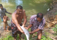 বাড়ির পুকুরে ধরা পড়ল ৮ কেজির চিতল মাছ
