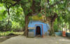 বরিশালে সবচেয়ে ছোট মসজিদের সন্ধান মিলেছে