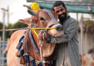 পশু জবাইয়ের সময় কোরবানিদাতার নাম নেয়া কি জরুরি?