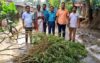 আলমডাঙ্গায় ৮টি গাঁজা গাছসহ একজন আটক