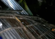 বরগুনায় ঘূর্ণিঝড়ে গাছ পড়ে ১১৫ বছর বয়সী বৃদ্ধার মৃত্যু