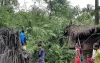 ঘূর্ণিঝড় সিত্রাং: ছয় জেলায় ১১ জনের প্রাণ কেড়ে নিল