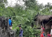 বরিশালে ঘূর্ণিঝড় সিত্রাংয়ের প্রভাবে ৩ হাজারের বেশি ঘরবাড়ি ক্ষতিগ্রস্ত