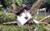 গর্বের বাকেরগঞ্জের প্রতিবেদন প্রকাশ: সিত্রাং প্রভাবে জোয়ারে ভেসেছে ফসলি জমি, মাছের ঘের, বসতঘর