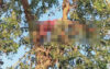তালতলীতে ডাল কাটতে গিয়ে বিদ্যুৎস্পৃষ্টে কৃষকের মৃত্যু