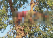 তালতলীতে ডাল কাটতে গিয়ে বিদ্যুৎস্পৃষ্টে কৃষকের মৃত্যু