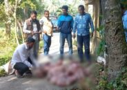 বরগুনায় ১২২ কেজি হরিণের মাংস জব্দ
