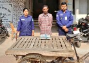 দর্শনায় গাঁজাসহ পাখিভ্যান জব্দ, আটক ১