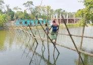 বাউফলে ৩০০ ফুট বাঁশের সাঁকো, ঝুঁকি নিয়ে পারাপার