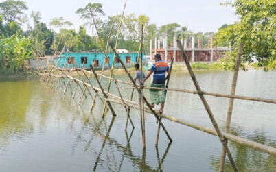 বাউফলে ৩০০ ফুট বাঁশের সাঁকো, ঝুঁকি নিয়ে পারাপার