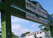 বাউফলে প্রবেশপত্র আটকে রেখে অতিরিক্ত টাকা আদায়