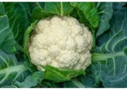 শীতের সবজি ফুলকপির তিন উপকারিতা