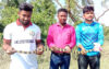 পটুয়াখালীতে ৭ ফুট লম্বা শঙ্খিনী সাপ অবমুক্ত