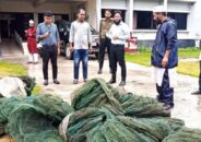 আগৈলঝাড়ায় ৪০ হাজার মিটার অবৈধ জাল জব্দ