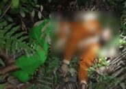 মঠবাড়িয়ায় গৃহবধূকে জবাই করে হত্যা, লাশ মিলল ডোবায়