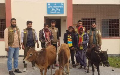 পটুয়াখালীতে চোরাই গরুসহ তিন চোর আটক