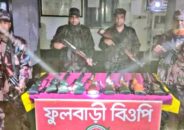 চুয়াডাঙ্গা সীমান্ত থেকে ৯টি বিদেশি এয়ারগান উদ্ধার
