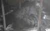 ভবানীপুরে পোশাক কারখানার কাপড়ের গুদামে আগুন