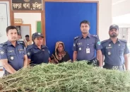 ফলবাগানে গাঁজা চাষ, ৩০টি গাঁজার গাছসহ নারী গ্রেফতার!