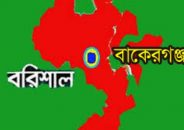 বাকেরগঞ্জে ছাত্রদল নেতার হাত-পায়ের রগ কর্তন: বিএনপির দুই নেতা বহিষ্কার