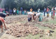 শত্রুর বিষে মরল ১৪০০ হাঁস