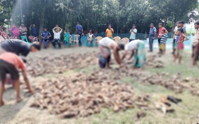 শত্রুর বিষে মরল ১৪০০ হাঁস