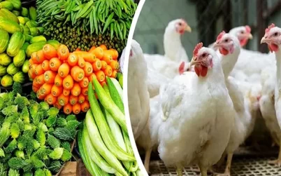 সবজির দাম নাগালের বাইরে,বেড়েছে মুরগির দাম