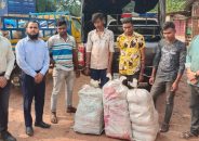চাঁদপুরে ৫৪ কেজি গাঁজাসহ গ্রেপ্তার ৪