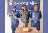 জীবননগরে গাঁজাসহ মাদক ব্যবসায়ী আটক