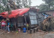 ভোলায় ঝড়ে বিধ্বস্ত দুই শতাধিক ঘর