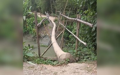 বাকেরগঞ্জে বাঁশের সাঁকোই গ্রামবাসীর একমাত্র ভরসা!