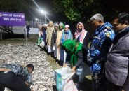 চাঁদপুরে কোস্টগার্ডের অভিযানে ৮৫ মণ জাটকা জব্দ