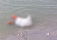 বরিশালে খালের পানিতে গোসলে নেমে মামা-ভাগ্নির মৃত্যু