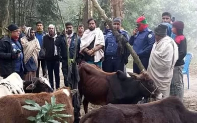 দুমকিতে ট্রাকসহ ৬ চোরাই গরু উদ্ধার
