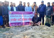 লালমোহনে জাটকা-নোঙর জব্দ