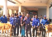 লালমোহনে ৬ গরুসহ চোর গ্রেফতার