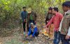 তালতলীতে মেছো বাঘের বাচ্চা উদ্ধার
