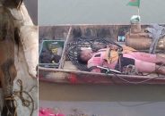 বাঘাইড় মাছের সঙ্গে উঠল যুবকের লাশ!