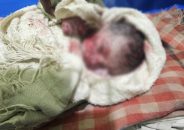 মধ্যরাতে খালের পাশে নবজাতকের কান্না, পরে খাল থেকে উদ্ধার