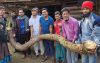 ১১ ফুটের বেলকচুর ওজন ২ মণ, বিক্রি হলো…
