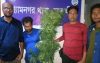 গাঁজা গাছসহ যুবক আটক