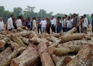 চরফ্যাশনে ইটভাটায় কেওড়া কাঠ, ১ লাখ টাকা জরিমানা