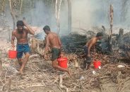তালতলীতে সংরক্ষিত ফাতরার বনের আগুন নিয়ন্ত্রণে