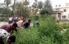 ফরিদপুরে হাসপাতালে বিনষ্ট করা হলো সেই গাঁজার বাগান